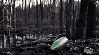 Atık yönetimi. Çevre ormanındaki plastik çöpler. Ormandaki çöp yığını. Doğa Ekolojisini ve kirliliği koru