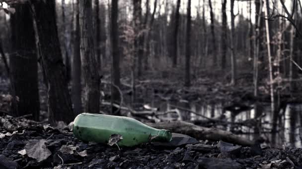 Rifiuti Plastica Spazzatura Bosco Cestino Nella Foresta Ambientale Salva Natura — Video Stock