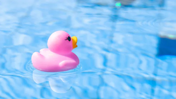 Pink rubber duck. Funny kids inflatable toy float in blue water of summer pool. Funny bird toy for kids.