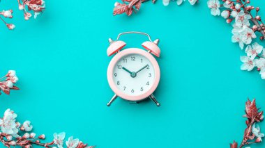 Bahar sınırı, bahar çiçekleri ve mavi arka planda çalar saati olan Nisan çiçekleri. Çiçek açan kayısı makrosu dalları yumuşak odak. Paskalya ve bahar tebrik kartları, kopyalama alanı. İlkbahar.