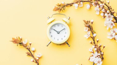 Çiçek açan bahar sarısı ve çiçek açan ağaçlı Nisan çiçekli güzel bir sahne, çalar saat. Paskalya güneşli bir gün. Meyve bahçesi arkaplanı bulanık. İlkbahar