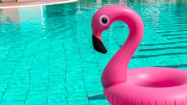 Yaz konsepti geçmişi. Yaz mevsimi için havuz suyunda şişirilebilir pembe flamingo. Havuz havuzu partisi