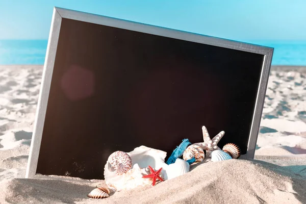 Summer sale. Globe, seashell, airplane and starfish near black desk on sea beach in sunny day. Copy space of summer vacation and business travel concept
