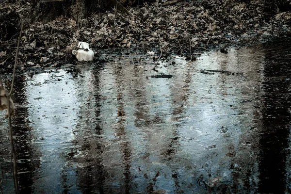 森の森の中のプラスチックごみ 環境中の廃棄物を燃焼させる 空の汚染から自然保護の概念で汚れたボトルを使用しました 生態学の概念 — ストック写真