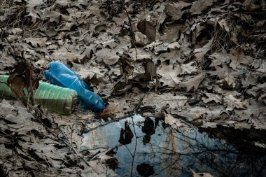 Ormandaki çevre ve plastik çöpler. Çöpler, çöpler, ormanda israf. Boş büyük şehir şişeleri ile ekolojik sorun