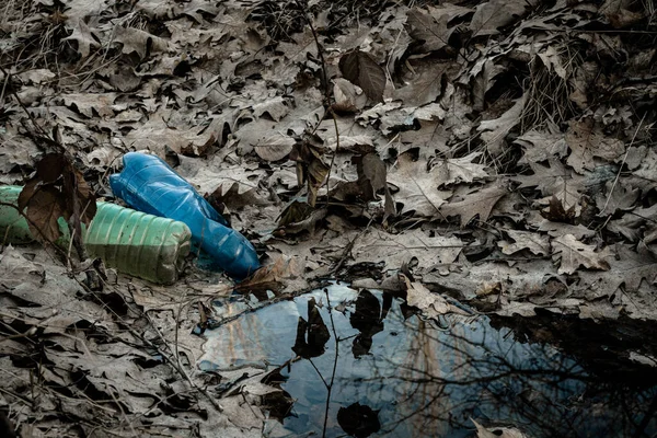 Ormandaki çevre ve plastik çöpler. Çöpler, çöpler, ormanda israf. Boş büyük şehir şişeleri ile ekolojik sorun