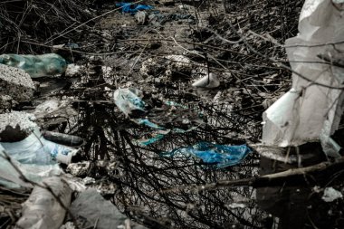 Ormandaki çevre ve plastik çöpler. Çöpler, çöpler, ormanda israf. Boş büyük şehir şişeleri ile ekolojik sorun