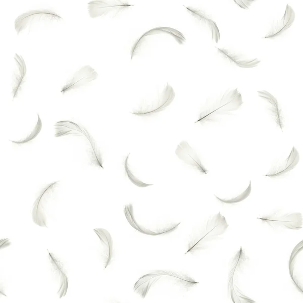 羽を閉じてください 自然に抽象的な鳥の羽のテクスチャシームレスなパターンの壁紙のための白い背景に隔離された ファッションカラートレンド春の夏 — ストック写真