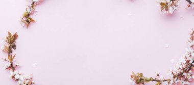 Mayıs çiçekleri. Bahar çiçekleri ve Nisan çiçekleri pembe arka planda. Çiçek açan ağaçla güzel bir sahne. Paskalya güneşli bir gün. Meyve bahçesi arkaplanı bulanık. İlkbahar