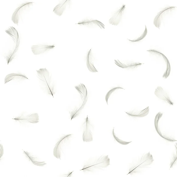 Pena Branca Pastel Anjo Penas Closeup Textura Caindo Fundo Branco — Fotografia de Stock