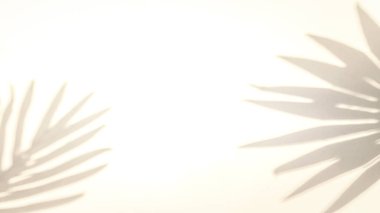 Yaprak gölgesi yaz geçmişi. Beyaz duvardaki bitki yaprağı gölgeleri soyut tropikal güneş ışığı dokusunda, ürün sunumu, arkaplan ve maketi, güneş ışığı mevsimsel konseptini kaplamak için.