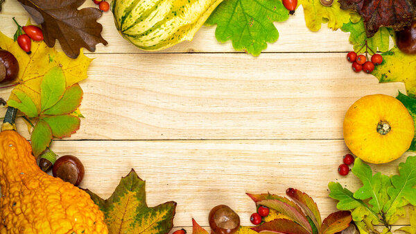 Thanksgiving holiday. Autumn harvest with orange pumpkin, fall dried leaves, red berries and acorns, chestnuts on wooden background in shape frame. Seasonal offers and holiday post card, top view