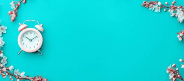 Bahar sınırı, bahar çiçekleri ve mavi arka planda çalar saati olan Nisan çiçekleri. Çiçek açan kayısı makrosu dalları yumuşak odak. Paskalya ve bahar tebrik kartları, kopyalama alanı. İlkbahar