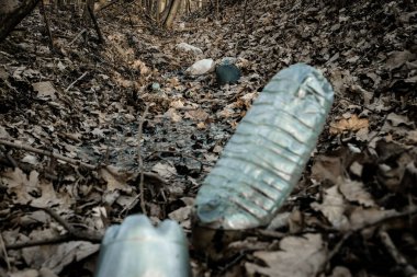 Çevresel koruma. Çevredeki çöpler. Ormanda, ormanlık alanda plastik atık. Kullanılmış kirli şişeler. Ekolojik sorun