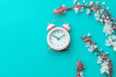 Kiraz ağacı çiçeği. Nisan çiçekleri ve bahar çiçekleri yumuşak mavi arka planda çalar saat çiçekleri. 8 Mart bayrağı, mesaj için yeri olan mutlu Paskalyalar. İlkbahar konsepti