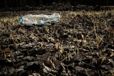 Plastik atık. Ormandaki çöp yığını. Çevre ormanındaki çöpler. Doğa Ekolojisini ve kirliliği koru