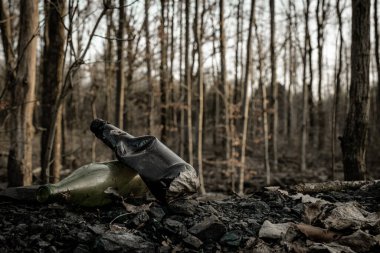 Çevre kirliliği. Ormanda çöp atmak. Ormandaki plastik çöpler. Kullanılan kirli plastik şişelerin ekolojik sorunu