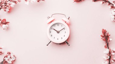 Bahar sınırı, bahar çiçekleri ve pembe arka planda çalar saati olan Nisan çiçekleri. Çiçek açan kayısı makrosu dalları yumuşak odak. Paskalya ve bahar tebrik kartları, kopyalama alanı. İlkbahar