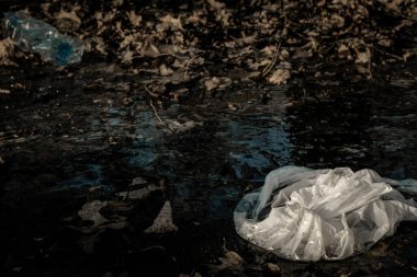 Ekoloji geçmişi. Ormanda, ormanlık alanda plastik atık. Çevredeki çöpler. Kullanılmış kirli şişeler. Ekolojik sorun