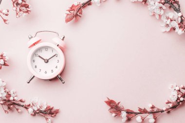 Bahar zamanı geçmişi. Mayıs çiçekleri ve Nisan çiçekleri ve pembe alarmlı saat. Yumuşak odaklı, çiçek açan kayısı makrosu dalları. Kopya alanı olan Paskalya tebrik kartları için. İlkbahar