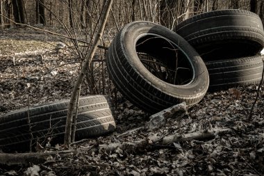 Çevre kirliliği. Ormanda çöp lastiği. Ormandaki plastik çöpler. Kullanılan kirli plastik şişelerin ekolojik sorunu