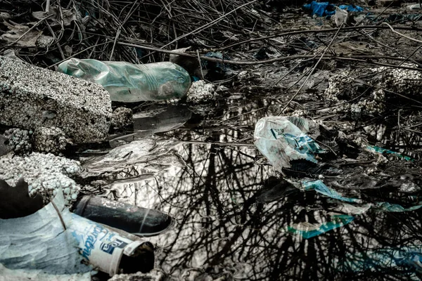 Plastikflasche. Müll in Wald und Umwelt. Müll im Wald. Rettet die Natur Ökologie und Umweltschutz-Konzept. — Stockfoto