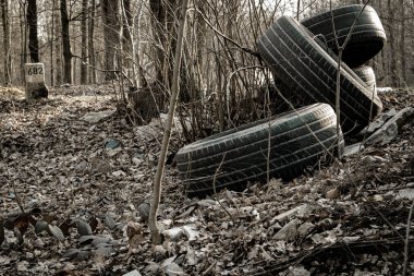 Çevre ormanında kirlilik yaratan çöp lastiği. Ormanda çöp plastik atık. Kirlilikten korunma kavramında kullanılan boş şişeler