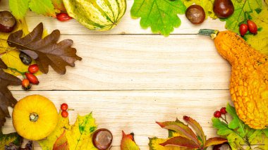 Sonbahar kompozisyonu. Turuncu kabaklı doğal hasat, kurumuş yapraklar, kırmızı böğürtlen ve meşe palamudu, şekil olarak ahşap arka planda kestaneler. Sonbahar Şükran Günü geçmişi