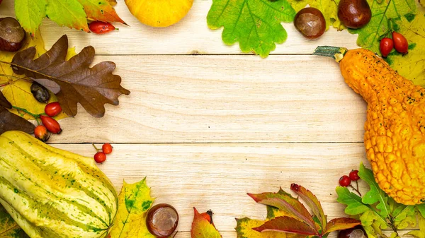 Flach Lag Der Herbst Natürliche Ernte Mit Orangefarbenem Kürbis Herbstlich — Stockfoto