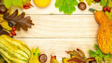 Sonbahar yaprağı dokusu. Turuncu kabaklı doğal hasat, kurumuş yapraklar, kırmızı böğürtlen ve meşe palamudu, şekil olarak ahşap arka planda kestaneler. Şükran Günü ya da Cadılar Bayramı kavramı