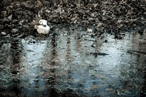 生態学的背景 森林のプラスチック廃棄物 環境中のゴミ 汚れたビンを空にした 生態学的問題 — ストック写真