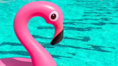 Tropikal arka plan. Yaz mevsimi için havuz suyunda şişirilebilir pembe flamingo. Asgari yaz konsepti