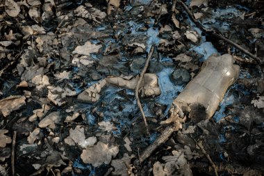 Çevre ormanındaki kirlilik çöpleri. Ormanda çöp plastik atık. Kirlilikten korunma kavramında kullanılan boş şişeler