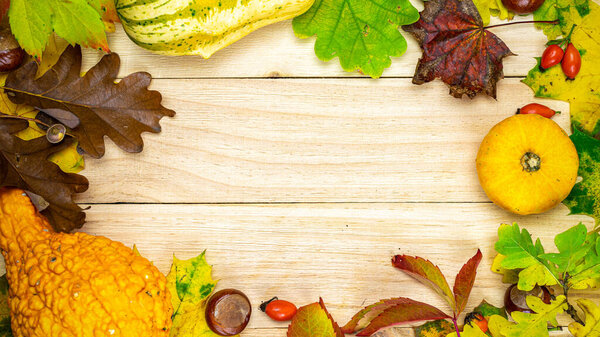 Autumn composition. Natural harvest with orange pumpkin, fall dried leaves, red berries and acorns, chestnuts on wooden background in shape frame. Autumn Thanksgiving day background