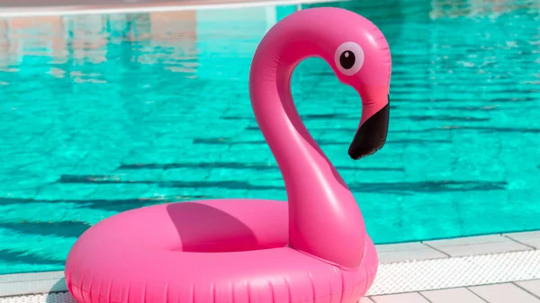 Морской Фон Розовый Фламинго Воде Бассейна Летнего Пляжного Фона Путешествия — стоковое фото