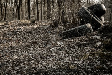 Çevresel koruma. Çevrede çöp lastiği var. Ormanda, ormanlık alanda plastik atık. Kullanılmış kirli şişeler. Ekolojik sorun