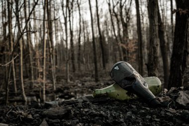 Plastik şişe. Ormanda ve çevrede çöpleri atıyorlar. Ormandaki çöpler. Doğa Ekolojisini ve kirliliği koru