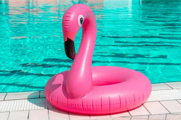 Diversión Verano Aislado Flamenco Inflable Rosa Agua Piscina Para Fondo — Foto de Stock