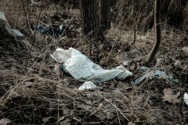 Ormandaki çevre ve plastik çöpler. Çöpler, çöpler, ormanda israf. Boş büyük şehir şişeleri ile ekolojik sorun