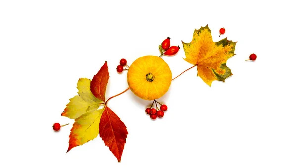 Autumn Leaves Background Natural Food Harvest Orange Pumpkin Fall Dried — Stock Photo, Image