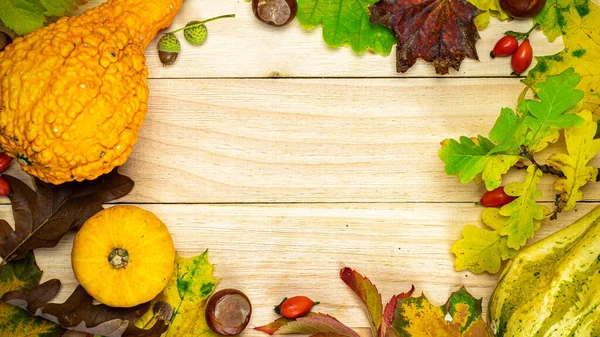 Thanksgiving Vakantie Herfst Oogst Met Sinaasappelpompoen Herfst Gedroogde Bladeren Rode — Stockfoto