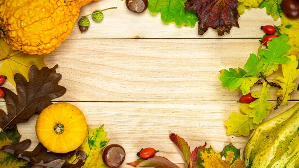 Vlakke Herfst Natuurlijke Oogst Met Sinaasappelpompoen Herfst Gedroogde Bladeren Rode — Stockfoto