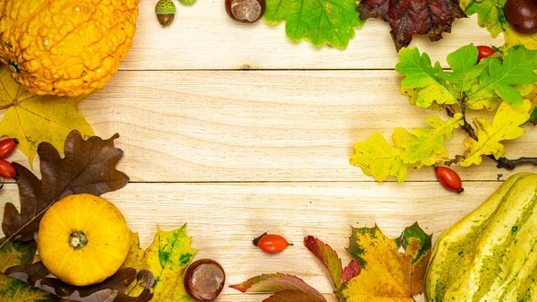 Abstracte Herfst Natuurlijke Oogst Met Sinaasappelpompoen Herfst Gedroogde Bladeren Rode — Stockfoto