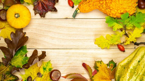 Erntedankfest Herbsternte Mit Orangefarbenem Kürbis Herbstlich Getrockneten Blättern Roten Beeren — Stockfoto