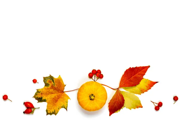 秋の葉が落ちる 自然食品 オレンジカボチャの収穫 秋の乾燥葉 白い背景に隔離されたローワンベリー 感謝祭の日のコンセプト — ストック写真
