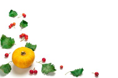 Soyut sonbahar. Doğal yiyecek, portakal kabağıyla hasat, kurumuş yapraklar, beyaz arka planda yalıtılmış yaban mersini. Düz konum, üst görünüm, kopyalama alanı