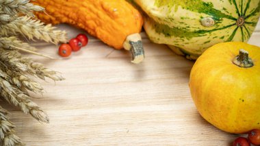 Sonbahar deseni. Çavdar kazığı, portakal kabağı, kurumuş yapraklar, kırmızı böğürtlen ve meşe palamudu, ahşap arka planda kestane. Güzel, parlak, sonbahar doğası. Hasat et