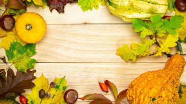 Akçaağaç yaprağı sonbaharı. Turuncu kabaklı doğal hasat, kurumuş yapraklar, kırmızı böğürtlen ve meşe palamudu, şekil olarak ahşap arka planda kestaneler. Güzellik Tatili Sonbahar Festivali konsepti. Sonbahar sahnesi