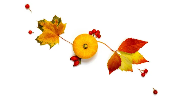 Flat Lay Outono Comida Natural Colheita Com Abóbora Laranja Queda — Fotografia de Stock