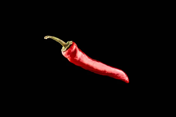 Chilli Peppar Isolerad Röd Varm Chili Paprika Eller Kryddig Chile — Stockfoto